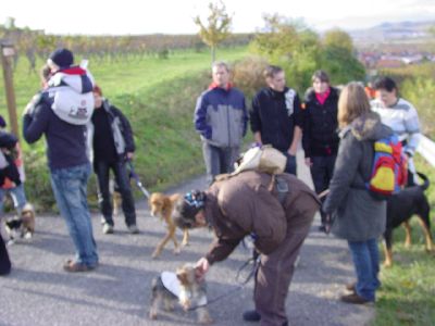 Vereinswanderung_2009