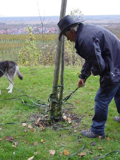 Vereinswanderung_2009