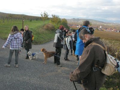 Vereinswanderung_2009