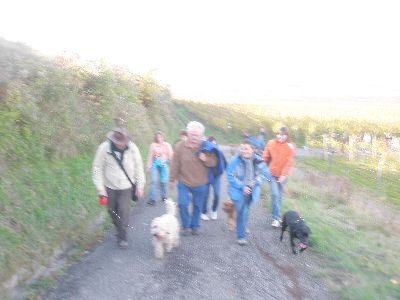 Vereinswanderung_2009