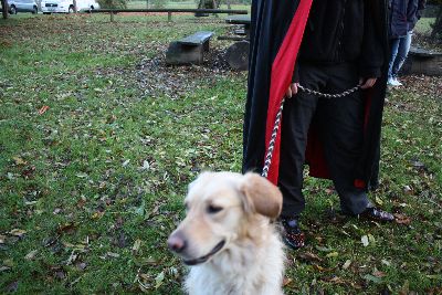 schopfheim_halloween_2009