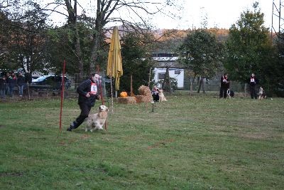schopfheim_halloween_2009