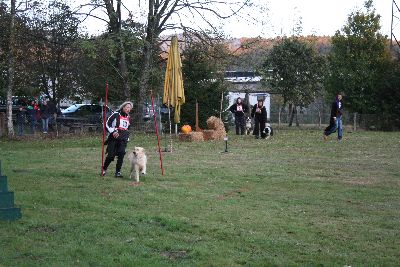 schopfheim_halloween_2009