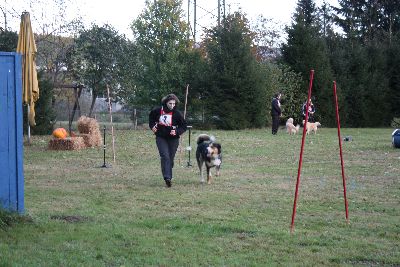 schopfheim_halloween_2009