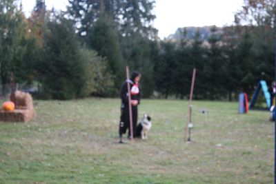 schopfheim_halloween_2009