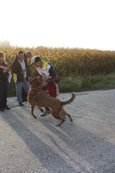 whyl_vdh_2009