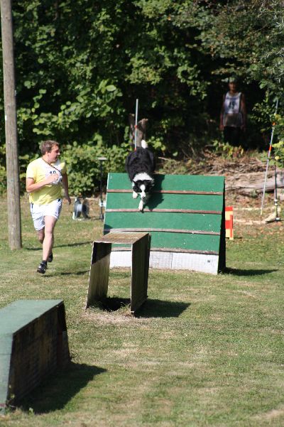 whyl_vdh_2009