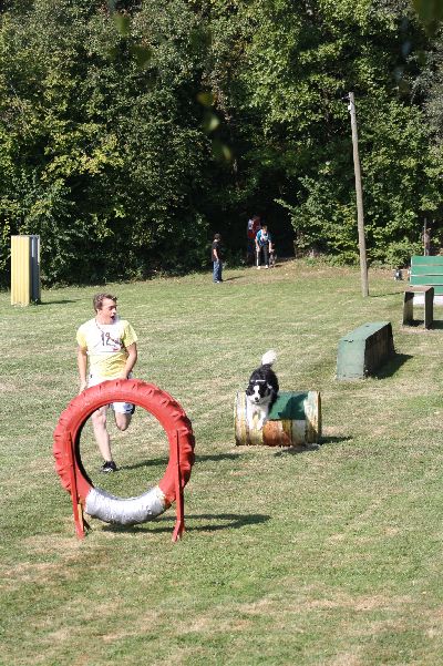 whyl_vdh_2009