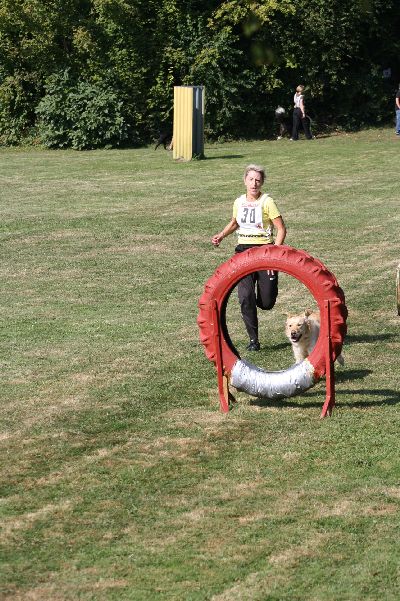 whyl_vdh_2009