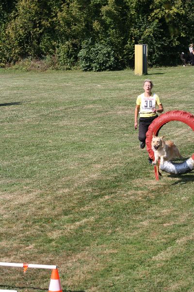 whyl_vdh_2009