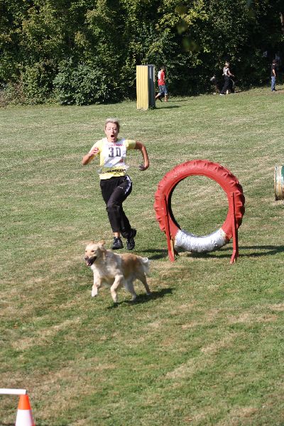whyl_vdh_2009