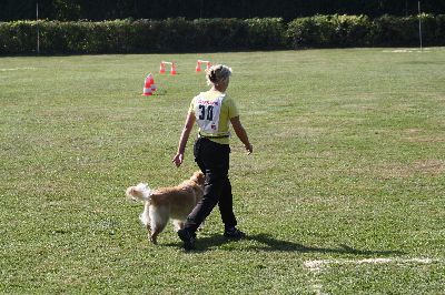 whyl_vdh_2009