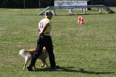whyl_vdh_2009