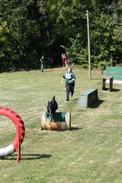 whyl_vdh_2009