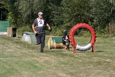 whyl_vdh_2009