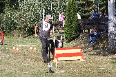 whyl_vdh_2009