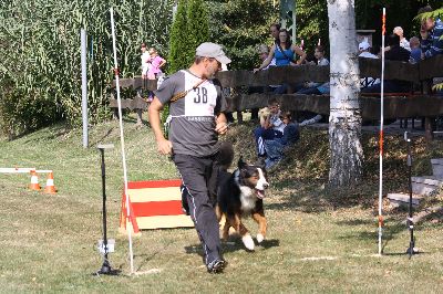 whyl_vdh_2009