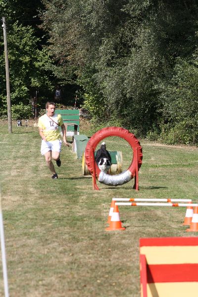 whyl_vdh_2009