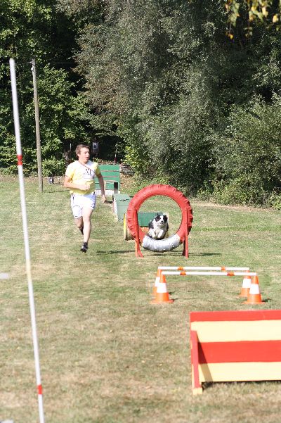 whyl_vdh_2009