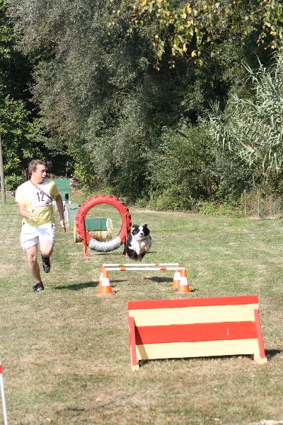 whyl_vdh_2009