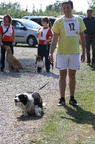 whyl_vdh_2009
