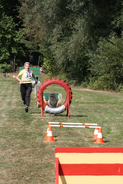 whyl_vdh_2009