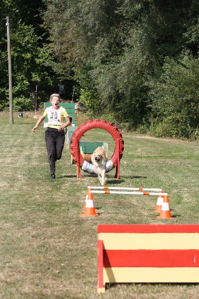 whyl_vdh_2009