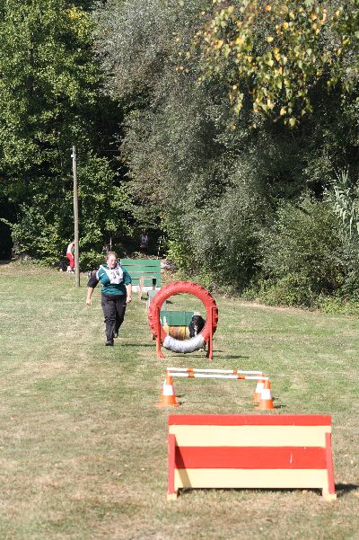 whyl_vdh_2009