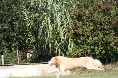 whyl_vdh_2009