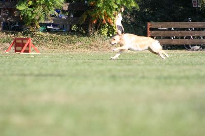 whyl_vdh_2009