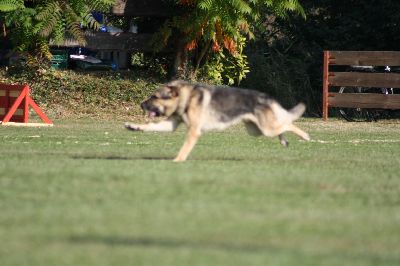 whyl_vdh_2009