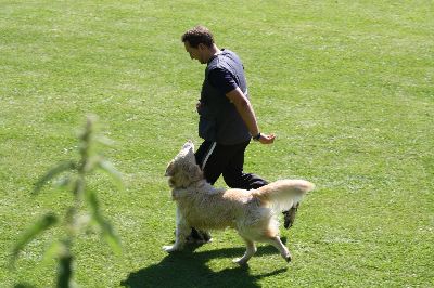 5staedte2009.jpg