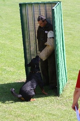 5staedte2009.jpg