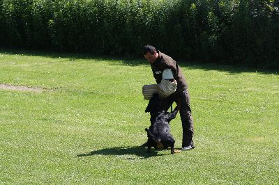 5staedte2009.jpg