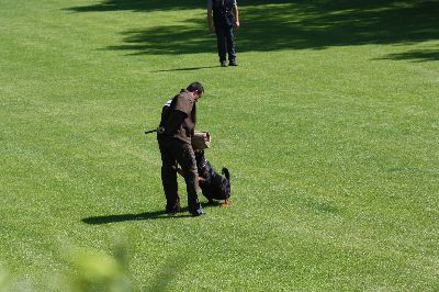 5staedte2009.jpg