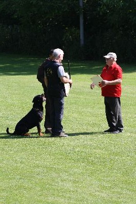 5staedte2009.jpg
