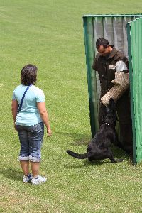 5staedte2009.jpg