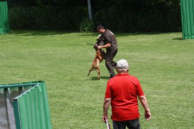 5staedte2009.jpg