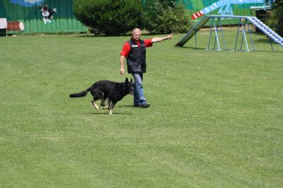 5staedte2009.jpg