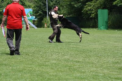 5staedte2009.jpg