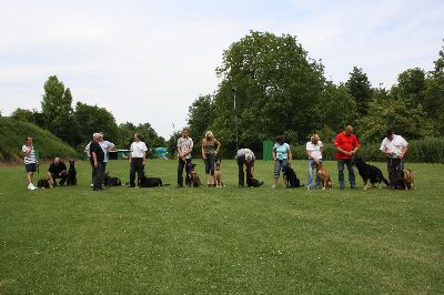 5staedte2009.jpg