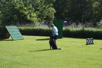 ths2009.jpg
