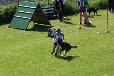 ths2009.jpg