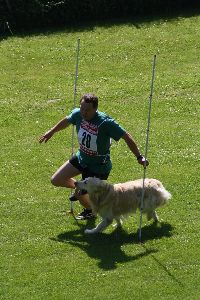 ths2009.jpg