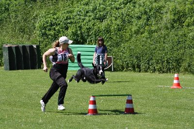 ths2009.jpg