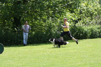 ths2009.jpg
