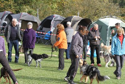 Agility-Turnier_2011