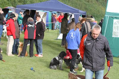 Agility-Turnier_2011