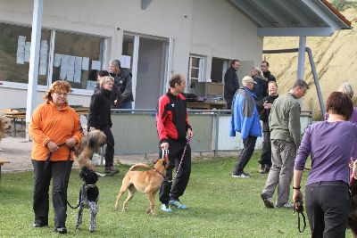 Agility-Turnier_2011