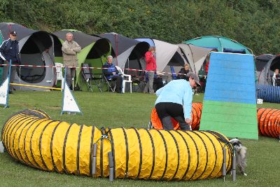 Agility-Turnier_2011